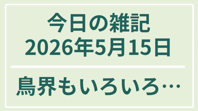 雑記2026-5-15